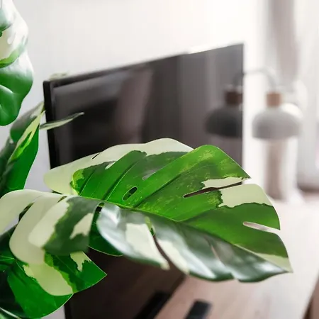 By Quokka 360 - Flats On Piazza Grande