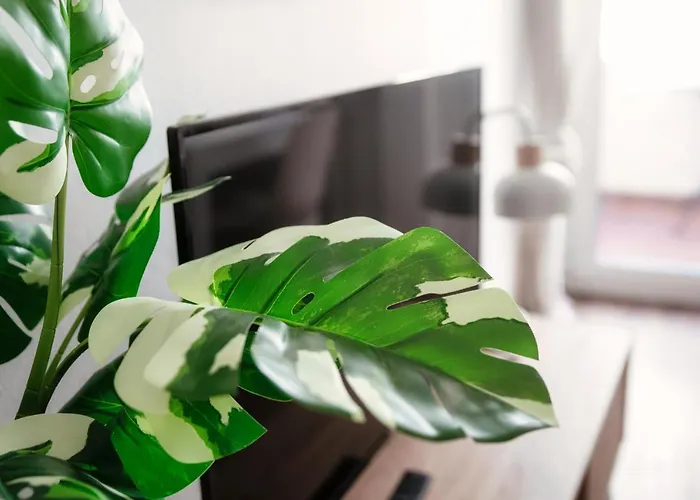 By Quokka 360 - Flats On Piazza Grande